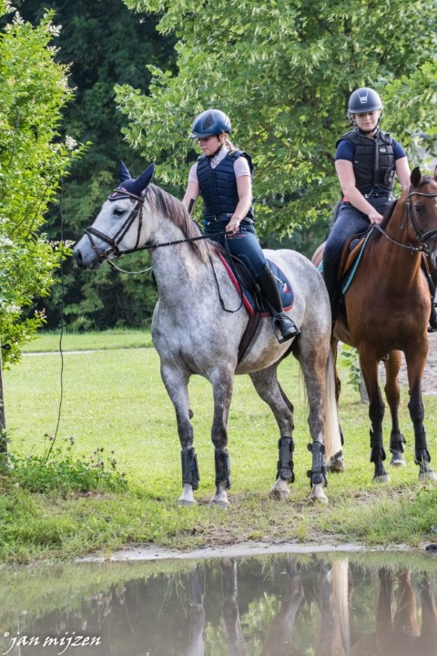 Training crosscountry paarden (107 van 185)