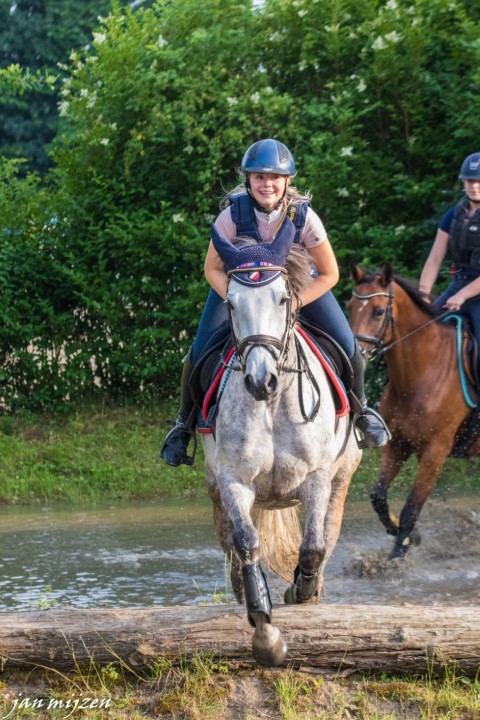 Training crosscountry paarden (121 van 185)