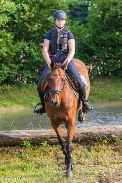 Training crosscountry paarden (126 van 185)