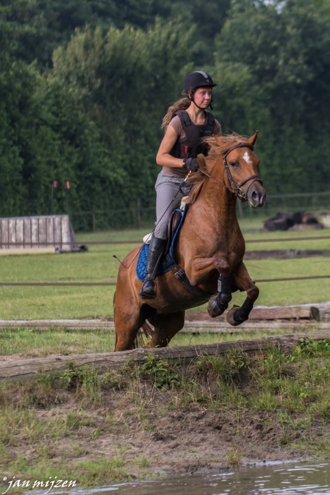 Training crosscountry paarden (18 van 185)