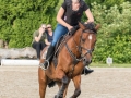 Training crosscountry paarden (102 van 185)