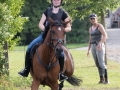 Training crosscountry paarden (109 van 185)