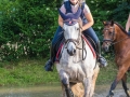 Training crosscountry paarden (120 van 185)