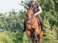 Training crosscountry paarden (131 van 185)
