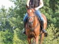 Training crosscountry paarden (136 van 185)
