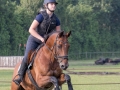 Training crosscountry paarden (138 van 185)