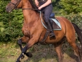 Training crosscountry paarden (143 van 185)