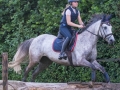 Training crosscountry paarden (157 van 185)