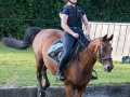 Training crosscountry paarden (161 van 185)