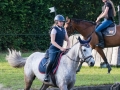 Training crosscountry paarden (163 van 185)