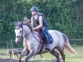 Training crosscountry paarden (184 van 185)