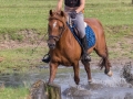 Training crosscountry paarden (44 van 185)