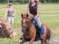 Training crosscountry paarden (46 van 185)