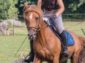 Training crosscountry paarden (48 van 185)