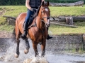 Training crosscountry paarden (87 van 185)