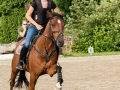 Training crosscountry paarden (97 van 185)